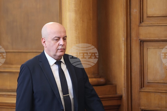 Cabinet Proposes Current State Intelligence Agency Chair Gechev for New Term in Office