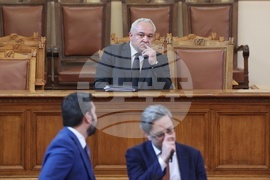 Народно събрание - парламентарен контрол - Иван Демерджиев