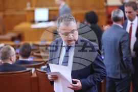 Народно събрание - парламентарен контрол - Стоян Михалев