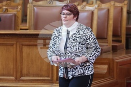 Народно събрание - парламентарен контрол