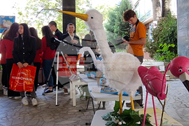 Кърджали - изложба - макет на чaпла