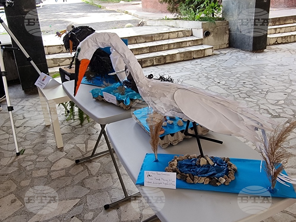 Кърджали - изложба - макет на чaпла