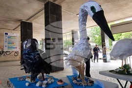 Кърджали - изложба - макет на чaпла