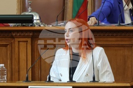 Народно събрание - парламентарен контрол - Христина Георгиева