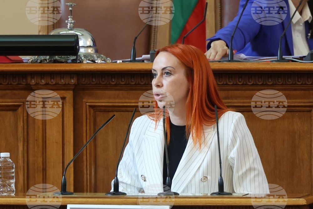 Народно събрание - парламентарен контрол - Христина Георгиева