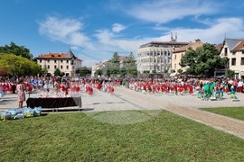 Враца - преглед мажоретни състави