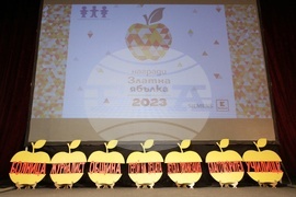 Национална мрежа за децата - годишни награди за принос към децата "Златна ябълка"