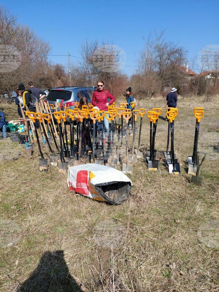 Над 1000 овошки засадиха жители на пернишкото село Студена