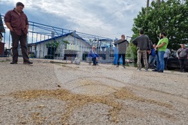 Село Долна махала - животновъди - протест