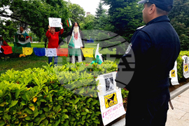 Народно събрание - протест