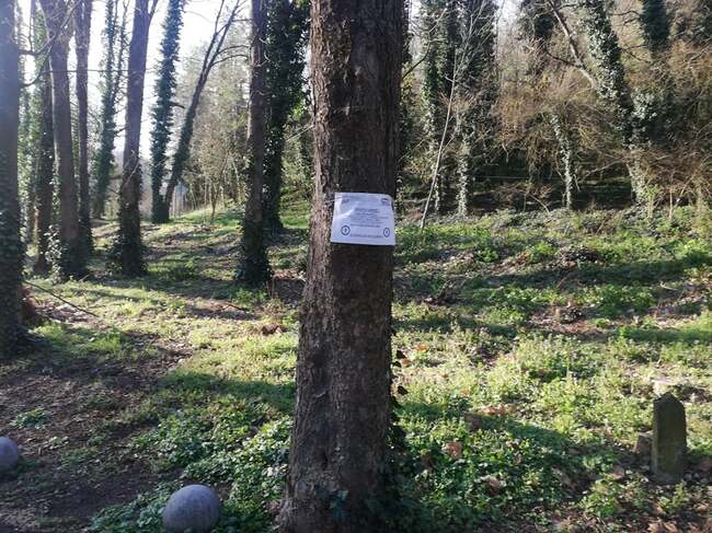 Община Плевен: Извършва се трето косене на треви в обществените пространства, площите се обработват срещу кърлежи