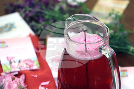 Народно събрание - изложба