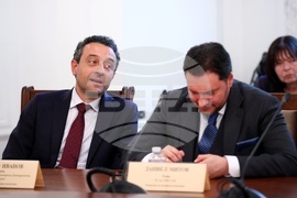 Народно събрание - Комисия по външна политика