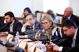 Народно събрание - Комисия по външна политика