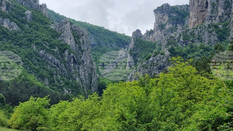 Bulgaria to Mark International Day of Forests with Its Timber Reserves on the Rise
