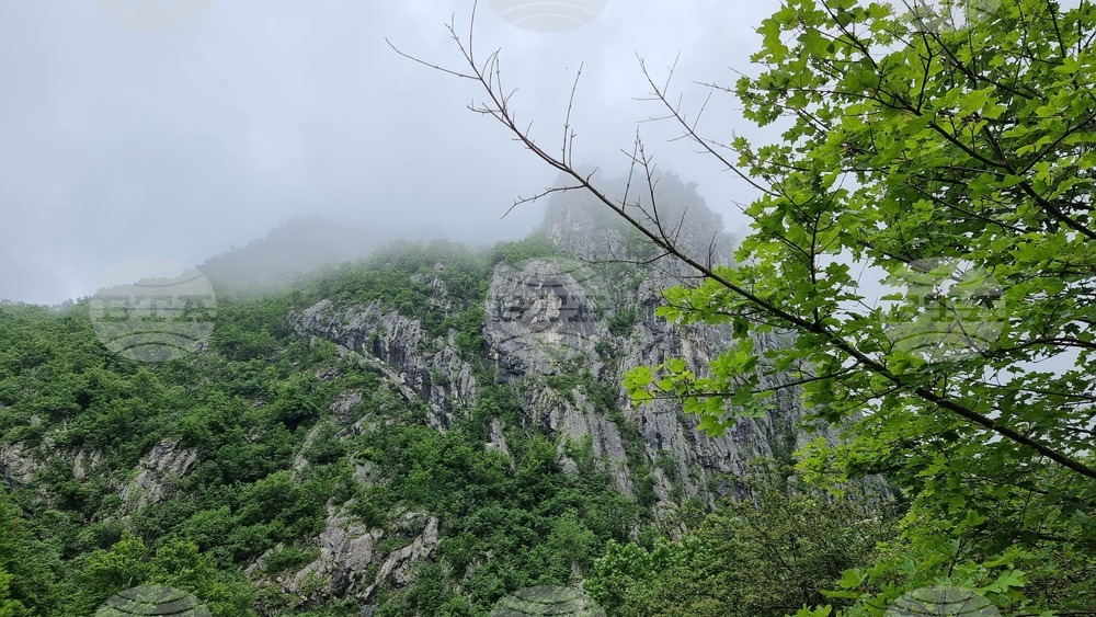 Враца - гроб на Христо Ботев