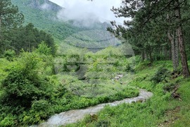 Враца - гроб на Христо Ботев