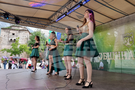 Враца - концерт