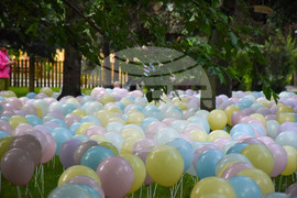 Благоевград - 1 юни - Международен ден на детето