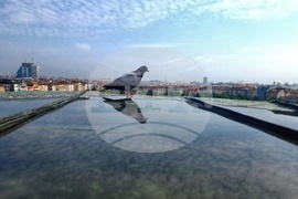 Хубаво време