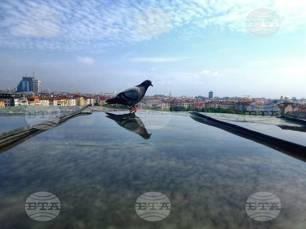 Хубаво време