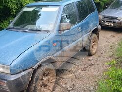 Снимка: Изпълнителна агенция по горите