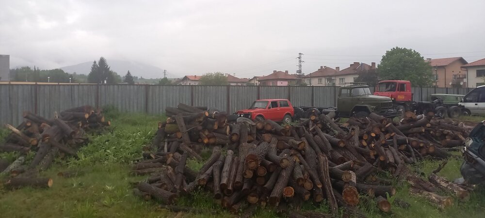 Изпълнителна агенция по горите: Нарушители удрят автомобил на РДГ - София при опита си да избягат от проверяващите 