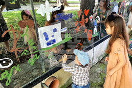 Добрич - Ден на детето - мероприятия