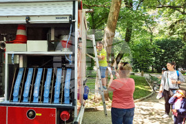 Добрич - Ден на детето - мероприятия