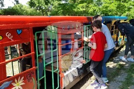 Кърджали - Ден на детето - празник