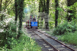 Кърджали - Ден на детето - празник