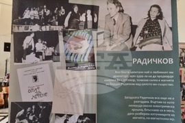 Варна - изложба за Юлия Огнянова