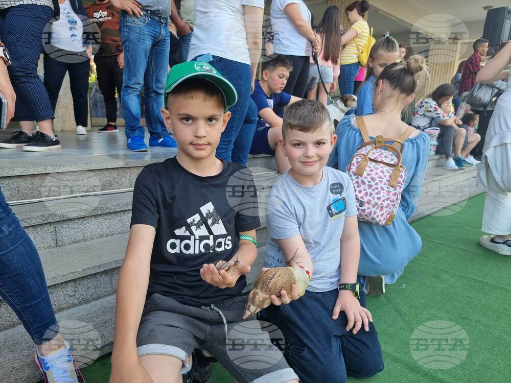 Деца дефилираха с домашните си любимци на конкурс в Разград