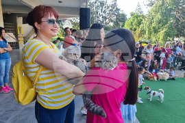 Разград - домашни животни - конкурс