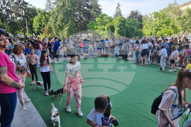 Разград - домашни животни - конкурс