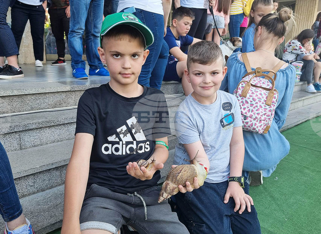 Разград - домашни животни - конкурс