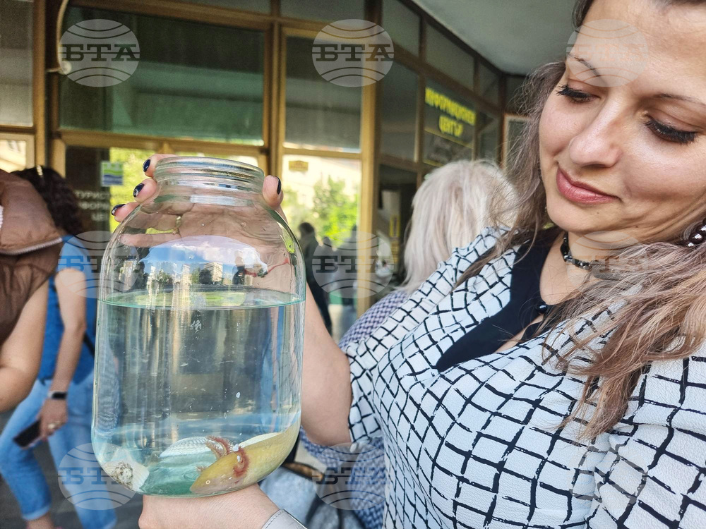 Разград - домашни животни - конкурс