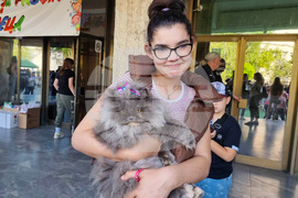 Разград - домашни животни - конкурс