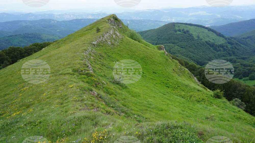 Международно туристическо изкачване на връх Руй се организира на 24 юни
