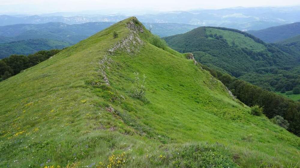 Мъж на 27 години е починал по време на състезанието „Вертикален Руй“ в Трън