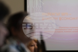 БАН - конференция - "Факторна детерминираност на "икономиката в сянка"