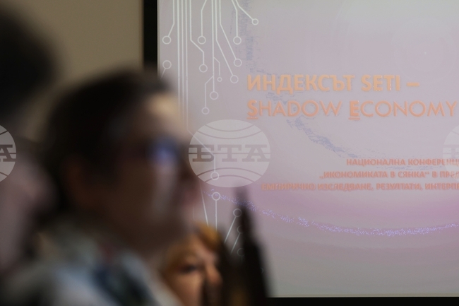 БАН - конференция - "Факторна детерминираност на "икономиката в сянка"