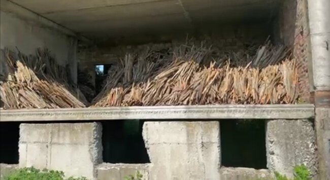 ИАГ: Конфискуваха почти 90 тона кори от мъждрян и 100 куб.м технологична дървесина