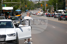 Христо Ботев - сирени