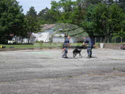 Снимка: ОДМВР – Разград