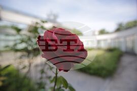 Осемнадесета Световна среща на българските медии 1 - 4 юни 2023, Казанлък - Музей на розата