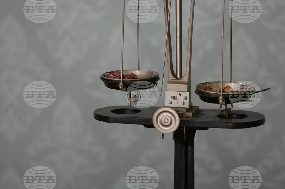 The 18th World Meeting of Bulgarian Media June 1 - 4 in Kazanlak - Visit to Rose Museum