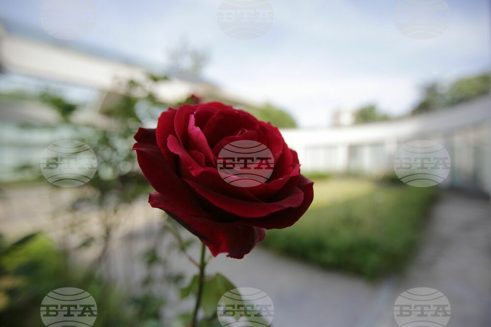 The 18th World Meeting of Bulgarian Media June 1 - 4 in Kazanlak - Visit to Rose Museum
