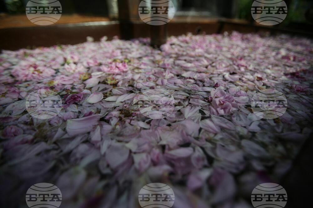 The 18th World Meeting of Bulgarian Media June 1 - 4 in Kazanlak - Visit to Rose Museum