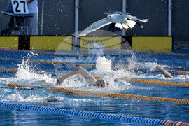 Варна - Международен турнир по плуване Black Sea Cup